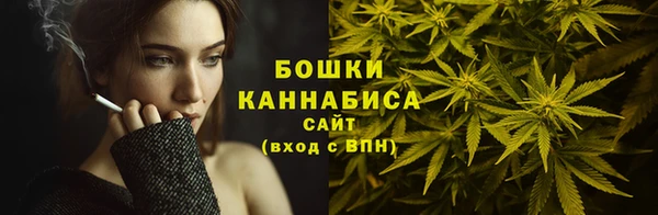 хмурый Горно-Алтайск